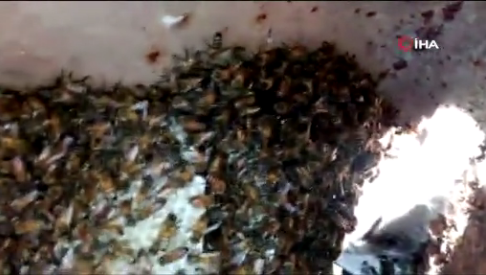 Kazayla su borusunu kırdı! İçinden çıkanlar şaşkına çevirdi - Resim: 4