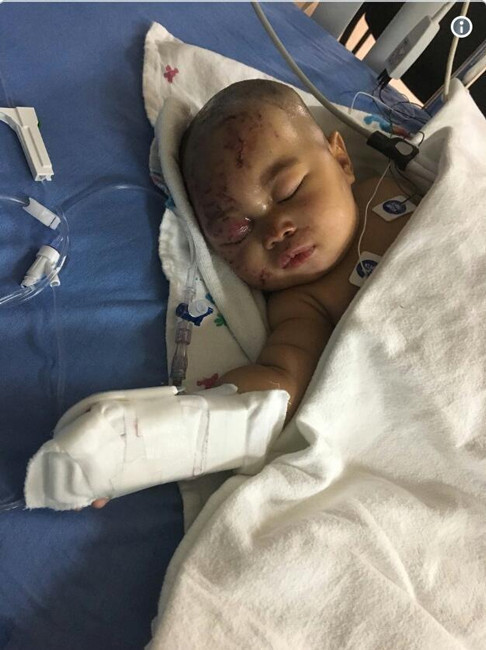 Uyumak için bıraktı geri döndüğünde ise bu halde buldu - Resim: 3