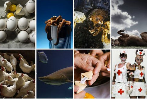 İşte dünyanın en pis 10 mesleği - Resim: 1