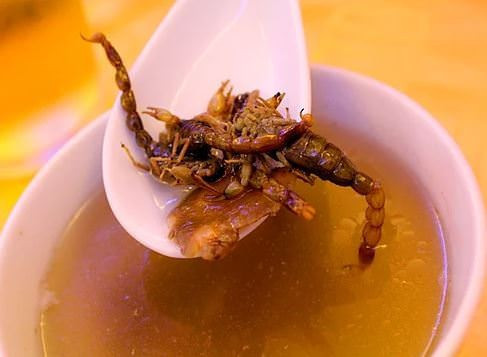 En iğrenç 10 yemek! Bunları yemek yürek ister! - Resim: 4