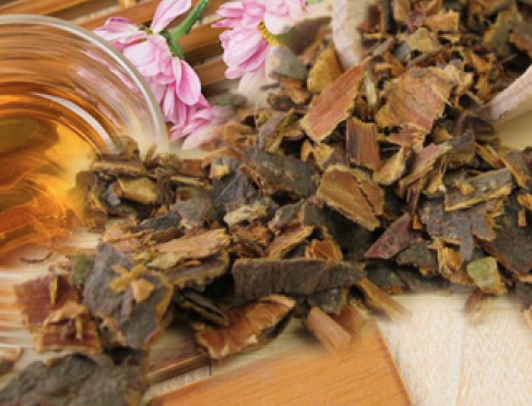 İç kısmı zehirli olan barut ağacının kabukları her derde deva! - Resim: 3