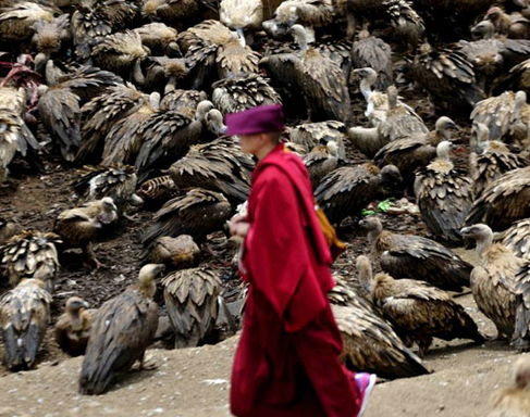 İnanılmaz gelenek! Ölülerini akbabalara yem ediyorlar... - Resim: 4