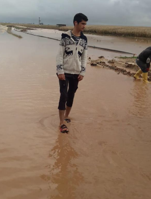 Mardin'de sağanak; evleri ve tarım arazilerini su bastı - Resim: 3