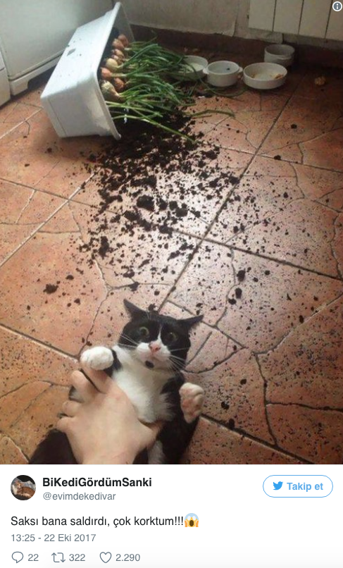 Konuştuğu kadından bu fotoğraf geldi sonra bakın neler oldu - Resim: 4