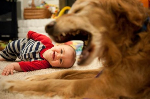 Günün tıklanma rekoru kıranları - Resim: 3