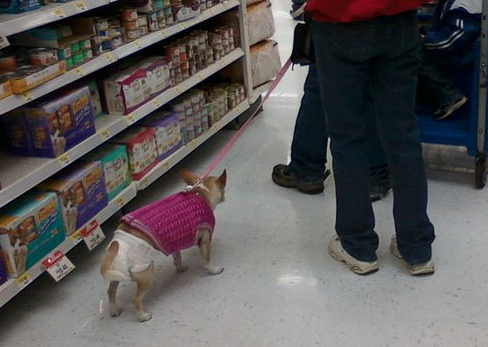 Böyle market müşterisi olur mu demeyin - Resim: 3