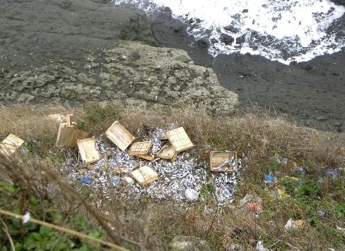 Kasalar dolusu çinokopu katlettiler - Resim: 4