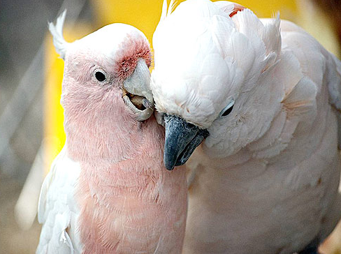 Tam o anda çekilen fotoğraflar - Resim: 2