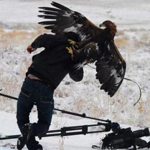 Hayvanlar insanlara böyle saldırdı - Resim: 4