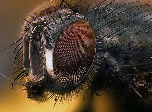 Bu bilgilere çok şaşıracaksınız! - Resim: 3