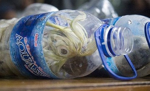 Böyle işkence görülmedi - Resim: 1