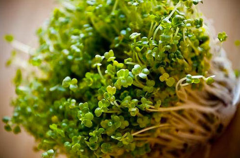 Vücudu temizleyen besinler - Resim: 3