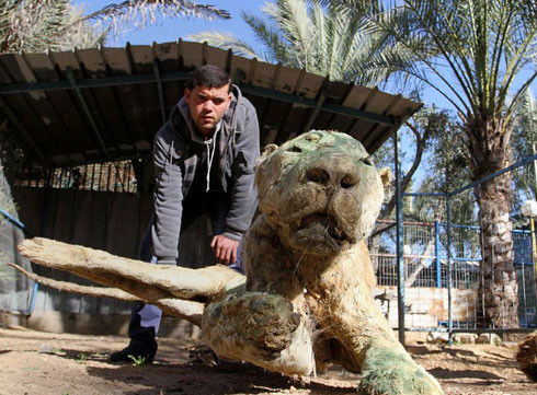 Bu hayvanat bahçesi dehşete düşürüyor - Resim: 1