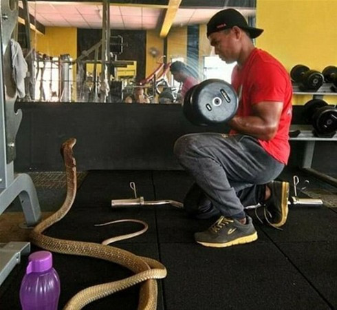 Dünya bunu da gördü kimseyi bulamadı 3 metrelik yılanla evlendi - Resim: 3