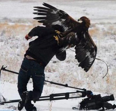 Hayvanların saniye saniye saldırı anı - Resim: 4