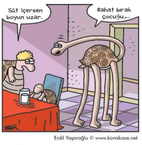 En çok güldüren karikatürler - Resim: 11