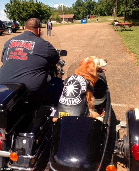 3 ay ömrü kalan köpeğin son günleri için yapılacaklar listesi - Resim: 4