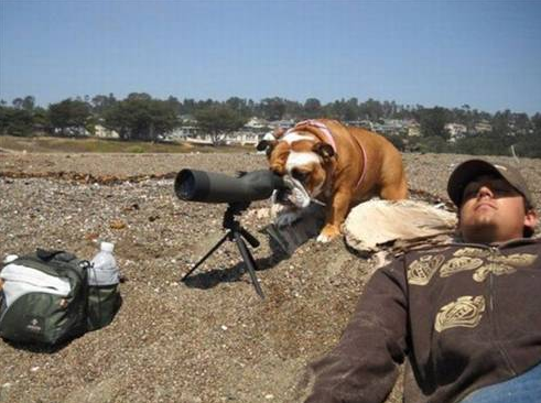 Bu fotoğraflar sizi kırıp geçirecek - Resim: 2