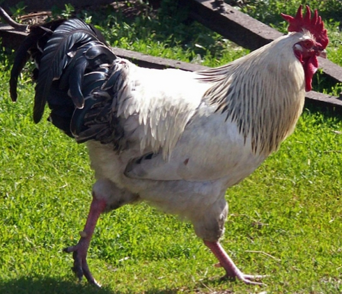 1 Temmuz'da hayatımızda neler değişecek? - Resim: 2