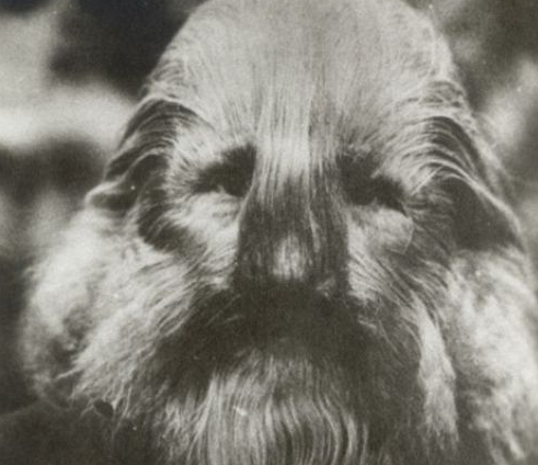 Dünyanın en farklı insanları - Resim: 3