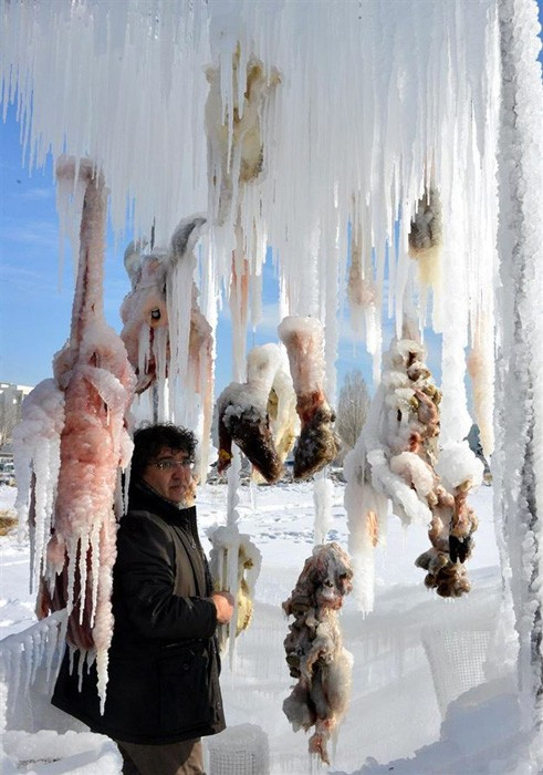 Terörü sakatat dondurup asarak protesto etti! - Resim: 1