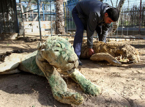 Bu hayvanat bahçesi dehşete düşürüyor - Resim: 3