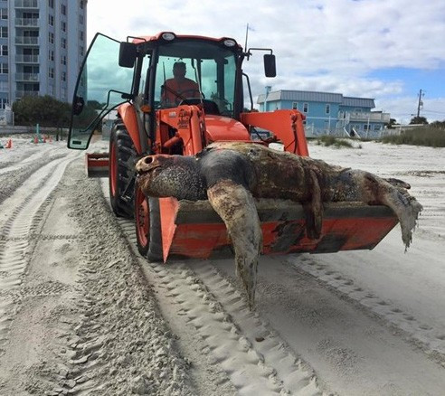 Yok böyle görüntü! Dünyanın dibi delindi! - Resim: 2
