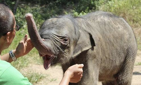 Süpürgeyle sapkınlık sakatlıyor! Dünya üzerinde tam 11 kişi... - Resim: 1