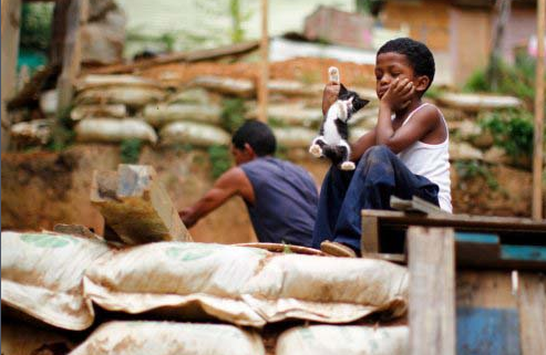 2011'in en iyi 50 hayvan fotoğrafı - Resim: 3