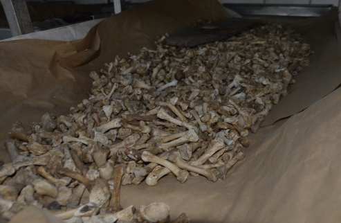 Bosna'daki en büyük toplu mezardan yüzlerce ceset çıkarıldı - Resim: 2