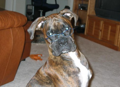 Günün tıklanmaya değer fotoğrafları! - Resim: 4