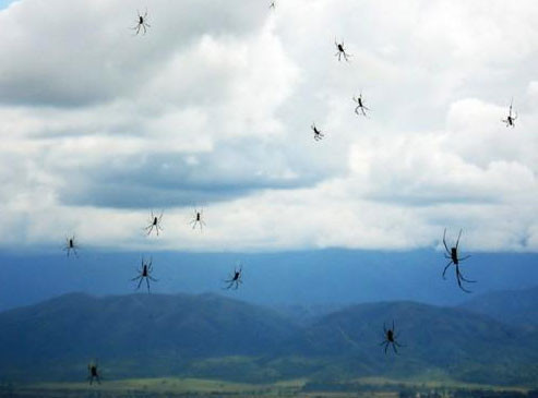 Başlarına bir taş yağmadığı kaldı - Resim: 2