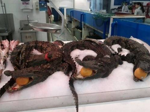 Bunları sadece Çin'de görebilirsiniz! - Resim: 3