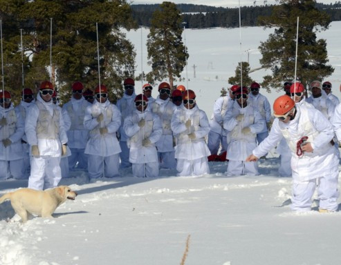 Komandolar karda bakın nasıl hayatta kalıyorlar - Resim: 3