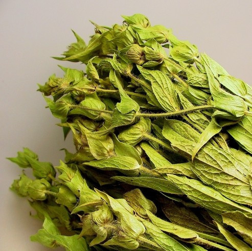 Ağız kokusuna en kolay çare! Siyah çayı... - Resim: 3