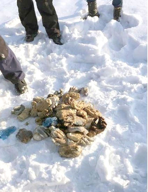 Kan donduran olay! 27 çift insan eli bulundu - Resim: 4