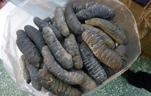 İzmir'de yasak olmasına rağmen avlıyorlar! Gecede 20 bin lira kazanç - Resim: 4