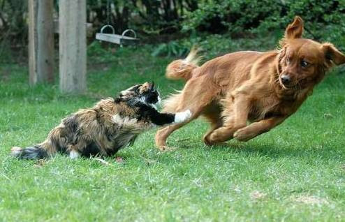 En çok bunlara gülüyoruz - Resim: 4