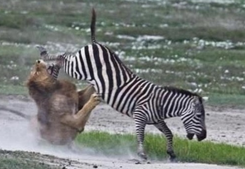 Tıklanmada sınır tanımayanlar - Resim: 4