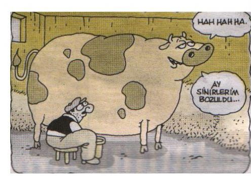 Günün en eğlenceli karikatürleri - Resim: 3