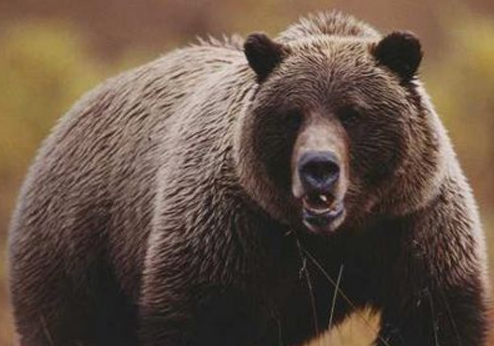 En tuhaf ama en ilginç bilgiler - Resim: 1