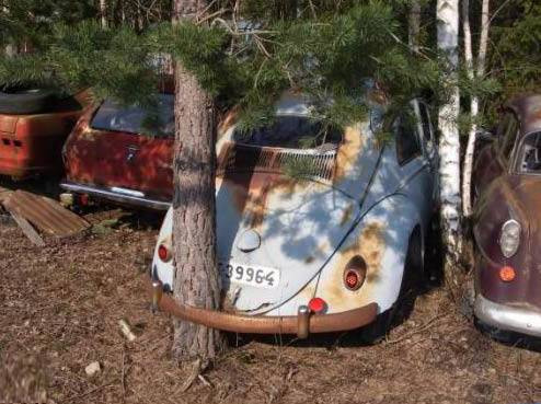 En çok bunlara gülüyoruz - Resim: 2