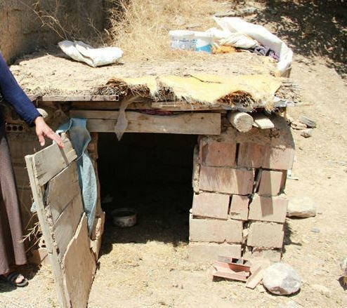 Kümesin içine baktığında şoke oldu öyle bir şey çıktı ki... - Resim: 2