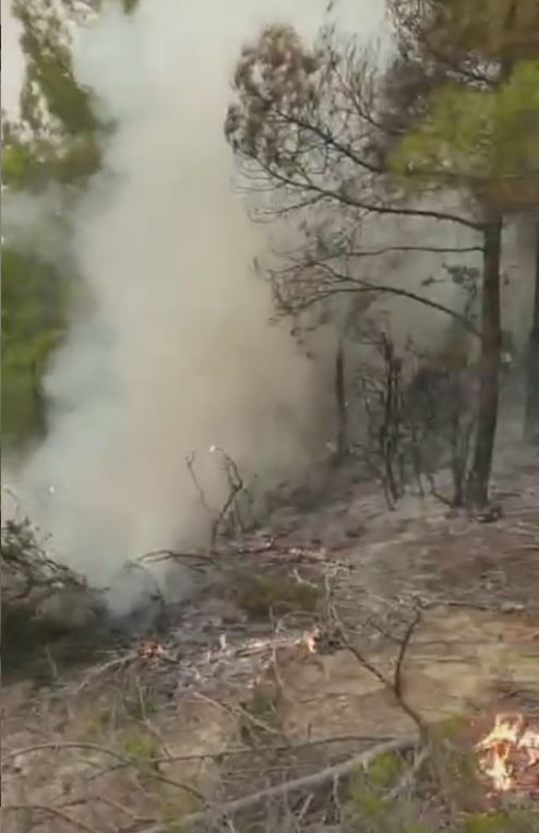 Yusuf Güney video yayınladı! Bırak yansın deyip sopalarla kovalamışlar - Resim: 3