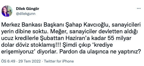 Merkez Bankası Kavcıoğlu sanayicileri yerin dibine soktu! Şubattan hazirana kadar döviz stoklamışlar - Resim: 1