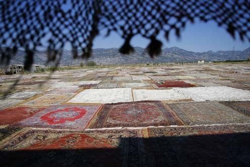 Önce güneşleniyor sonra dünyaya satılıyor - Resim: 2
