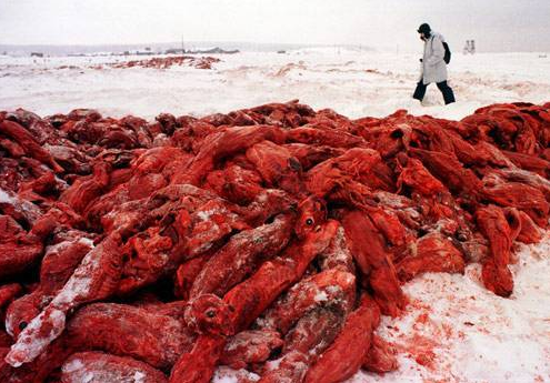 Bu özel fotoğraflar görülmeli - Resim: 1