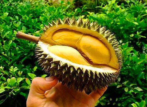 Bu yemekler menünüzde olmamalı! - Resim: 4