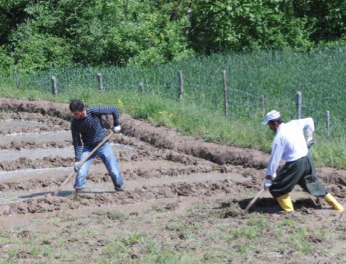 Terörün ardından Hakkari - Resim: 2