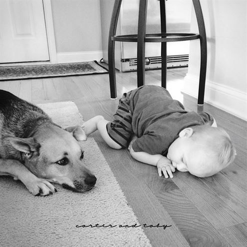 Muhteşem dostluk! - Resim: 2